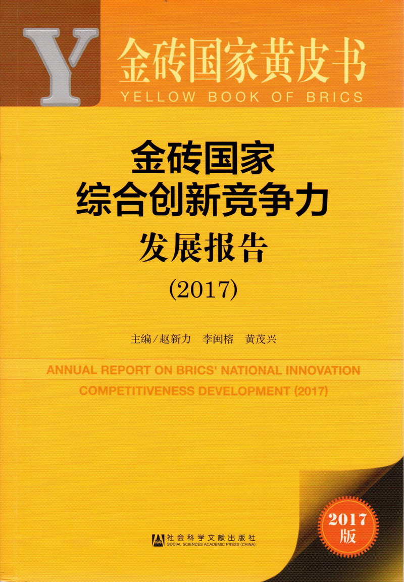 日本美女日屄视频污污污金砖国家综合创新竞争力发展报告（2017）